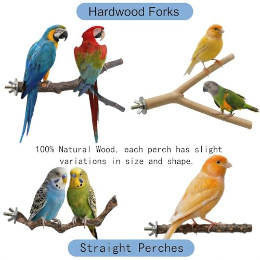 8 stuks natuurlijke houten vog - Health & Wellness Animal Hospital recensie en prijs